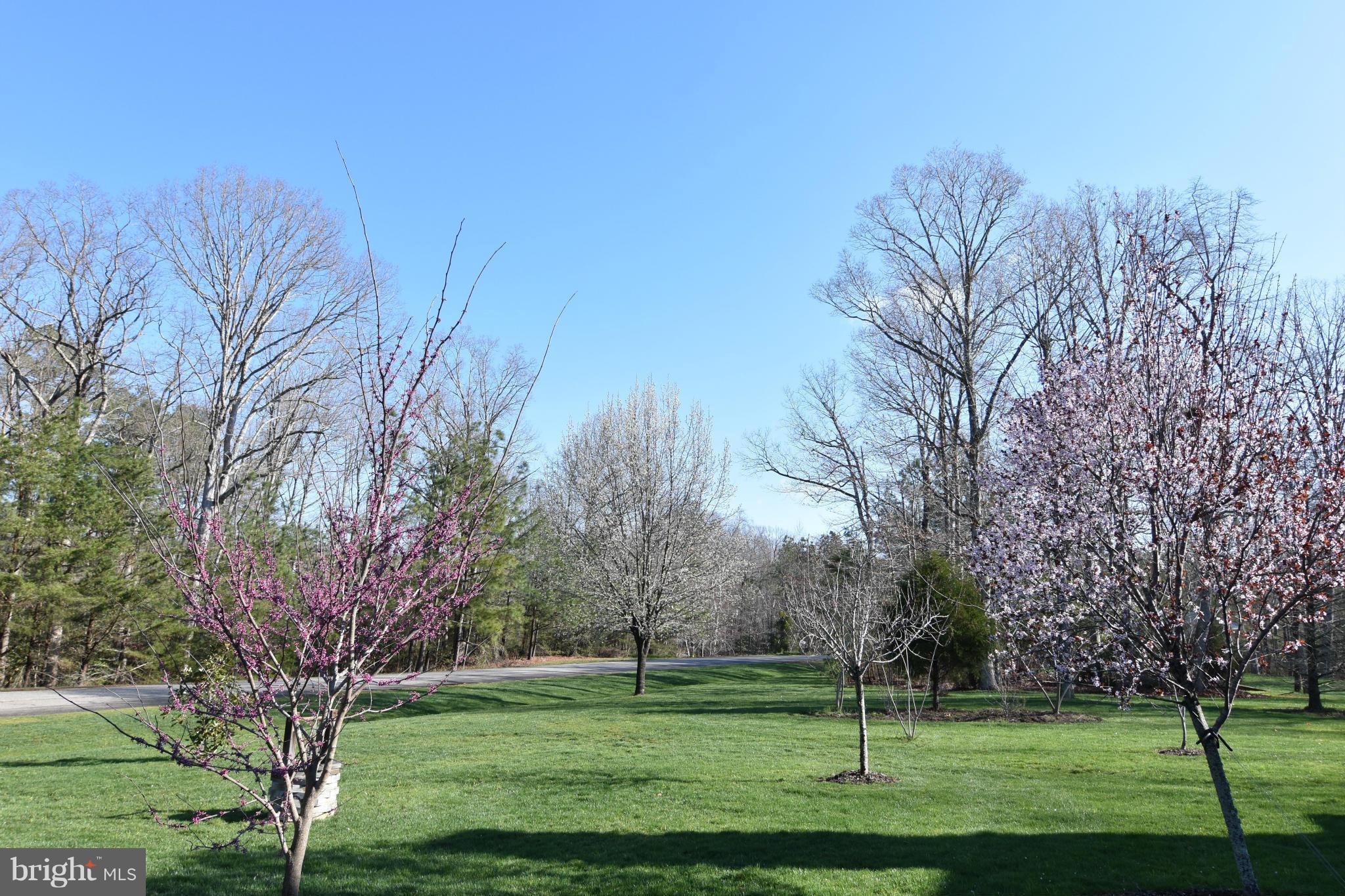 COX'S RUN - Residential