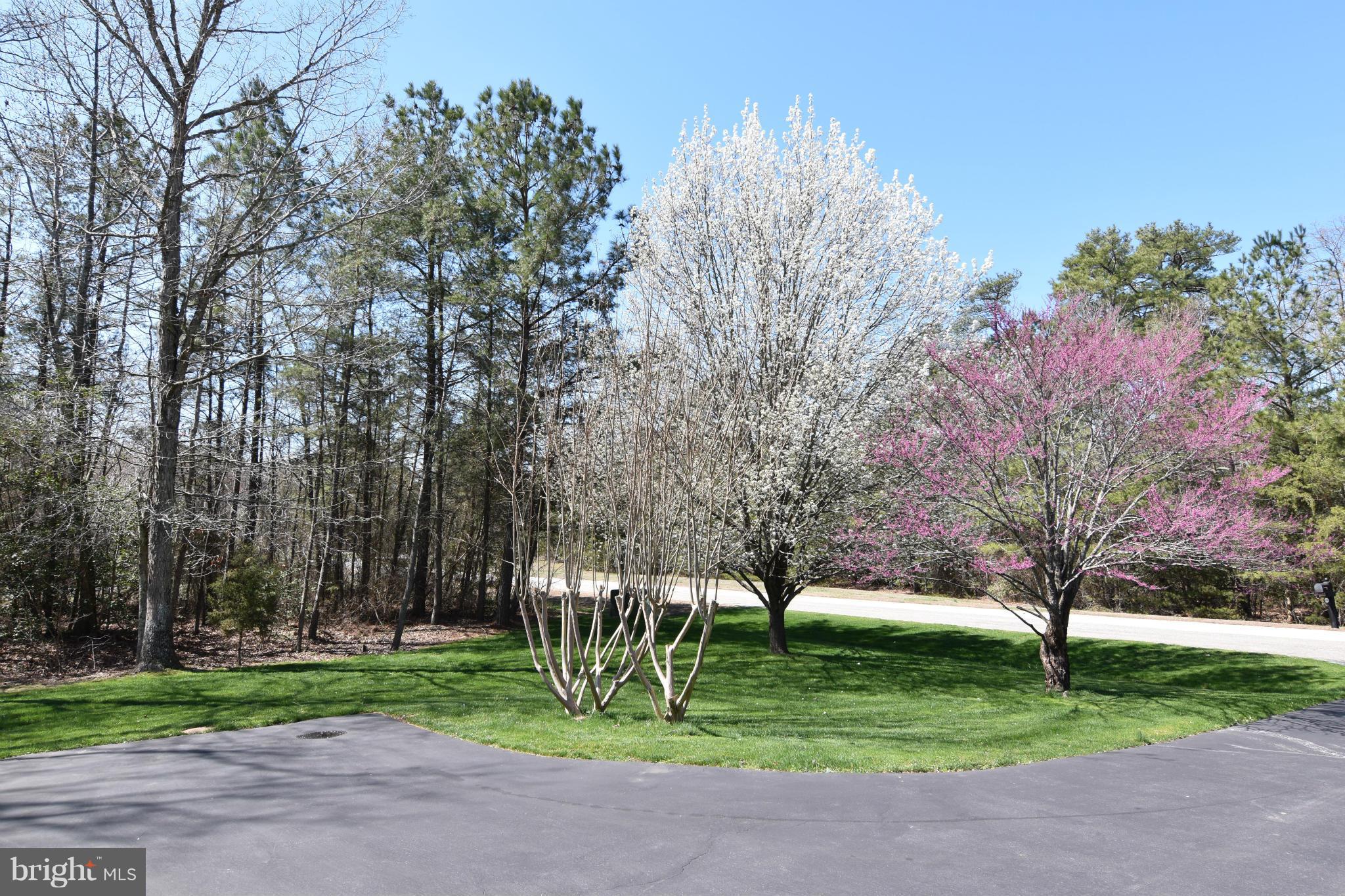 COX'S RUN - Residential