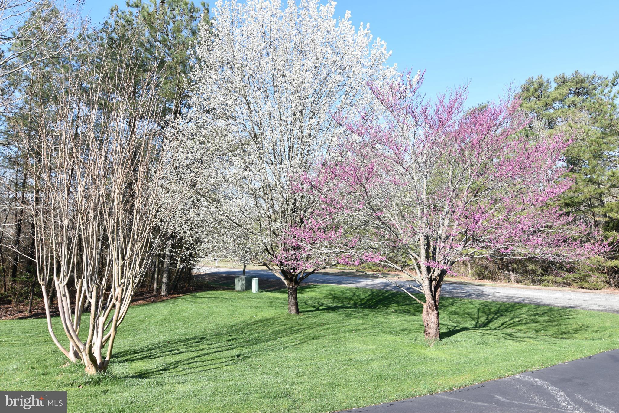 COX'S RUN - Residential