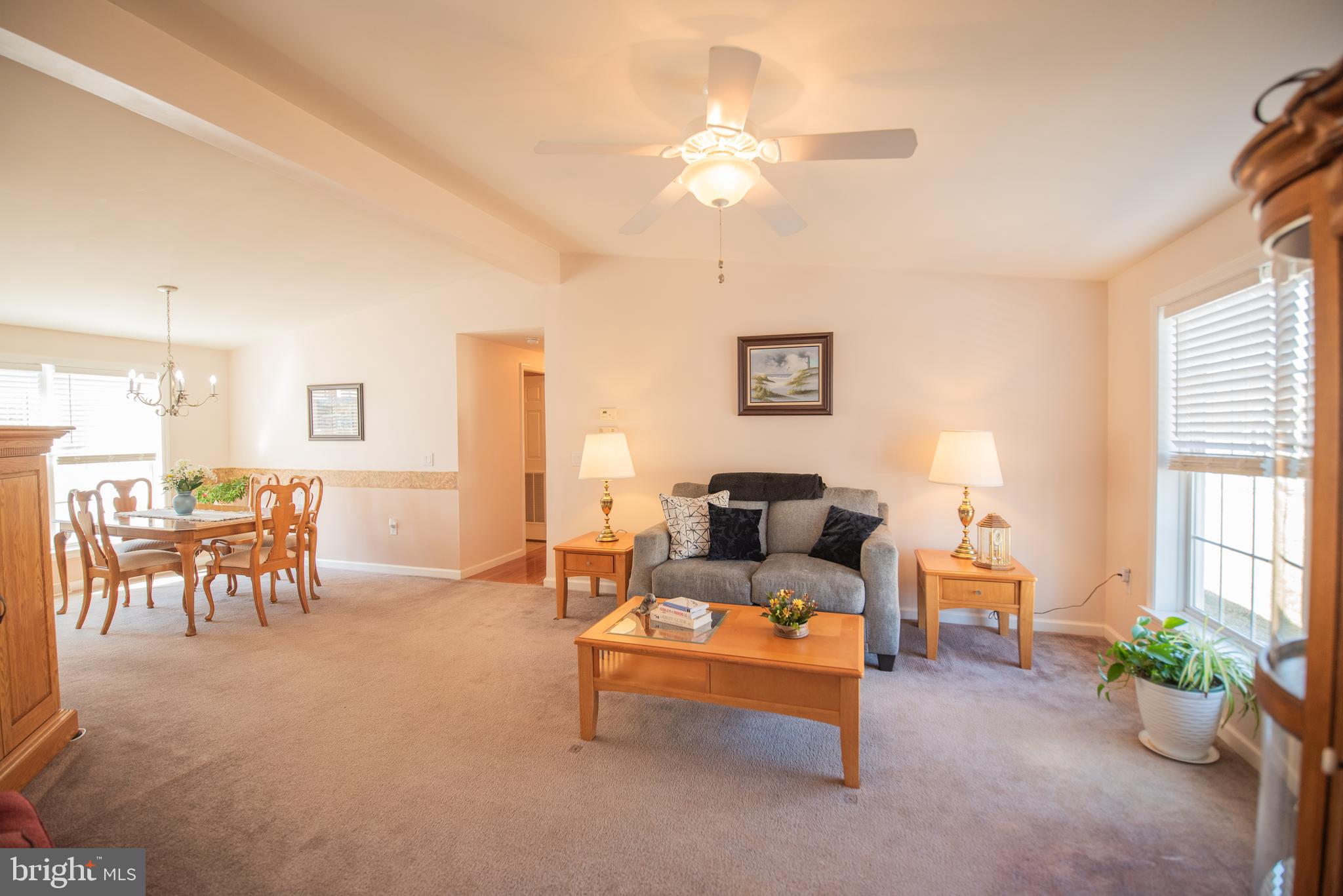 SPRING VALLEY VILLAG - Residential