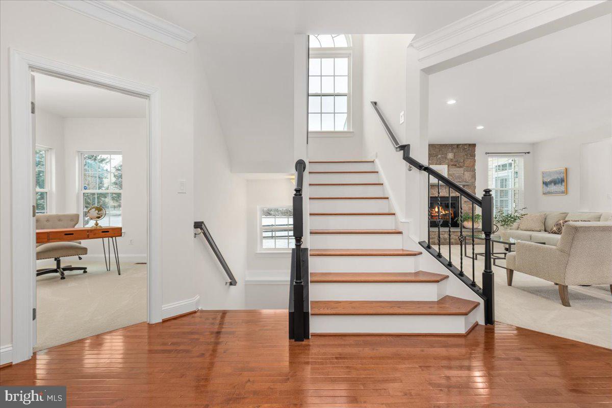 MEADOWS 2 - Residential