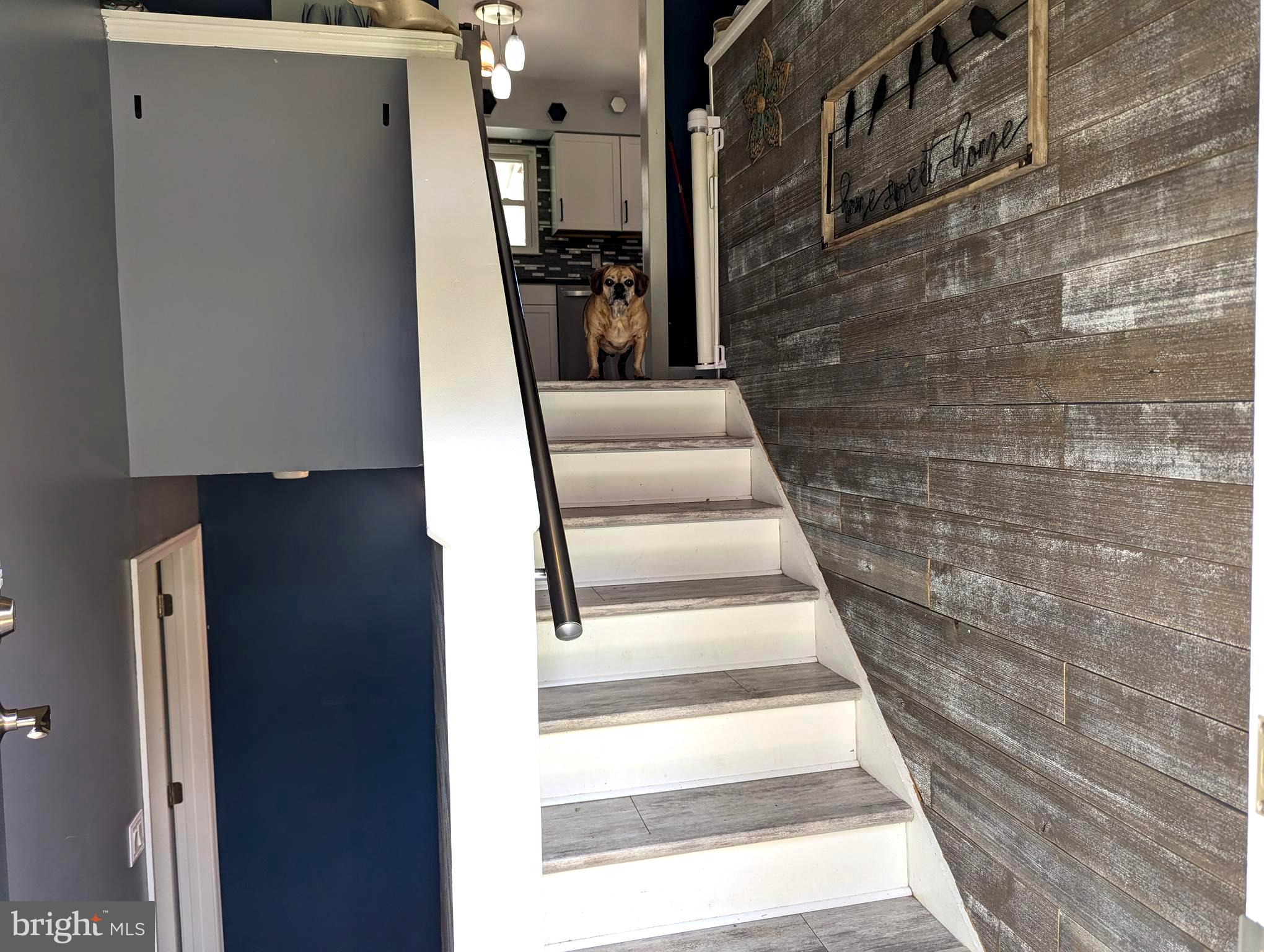 CHESAPEAKE RANCH ESTATES - Residential