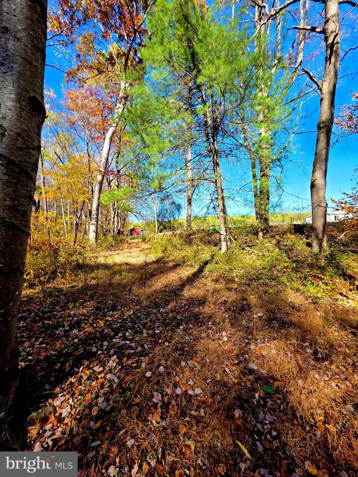 NONE, RURAL - Residential