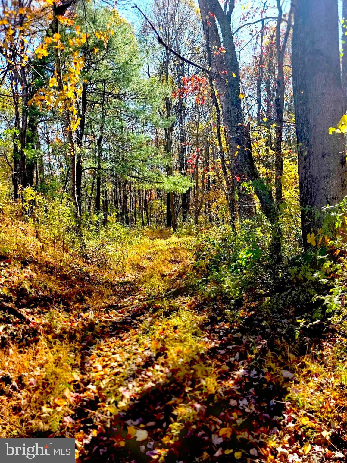 NONE, RURAL - Residential