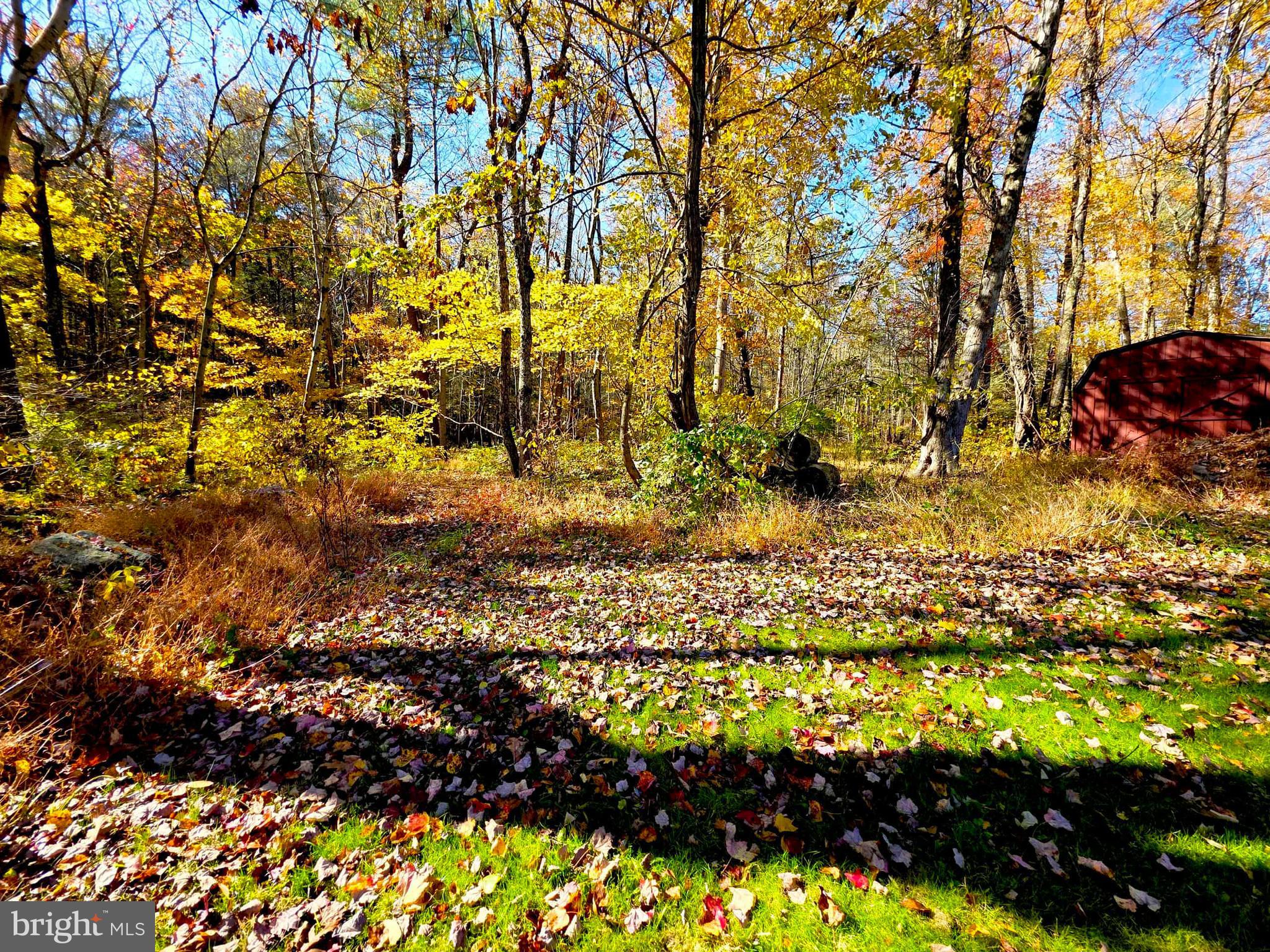 NONE, RURAL - Residential