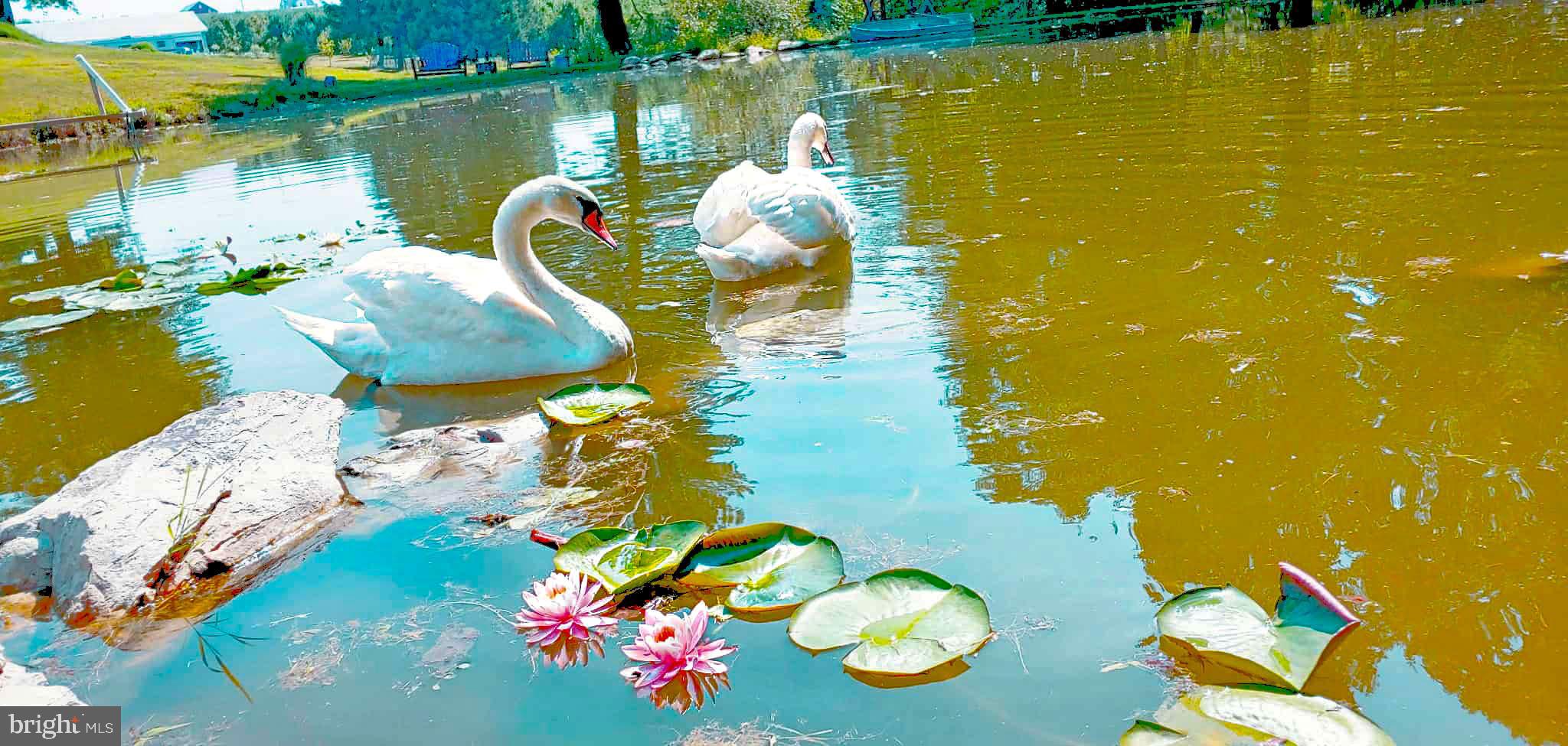 NONE, RURAL - Residential