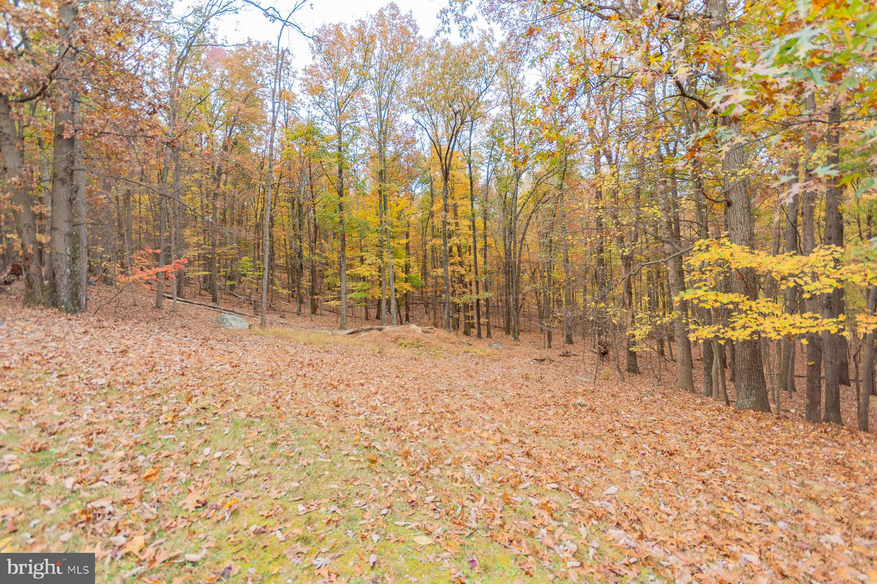 SHANNONDALE - Residential