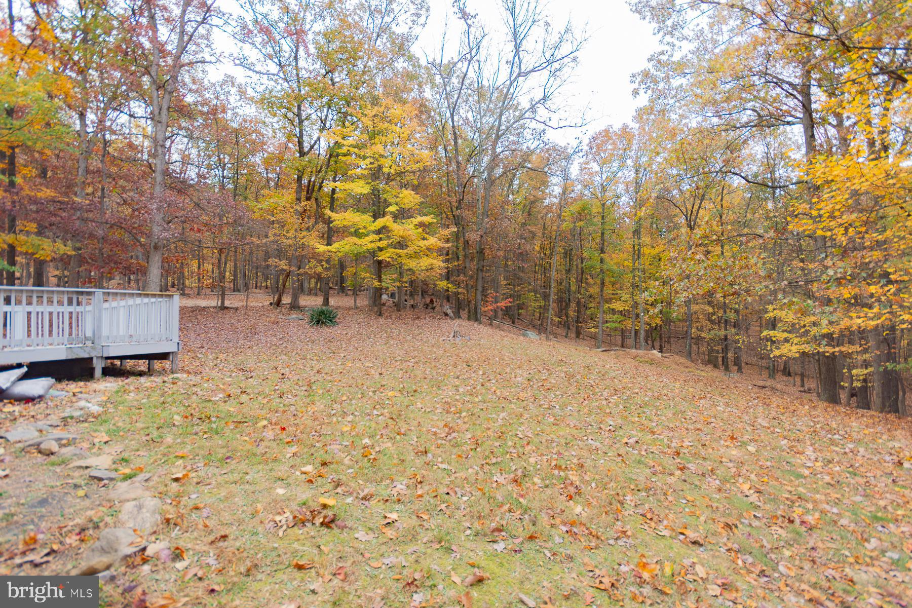 SHANNONDALE - Residential