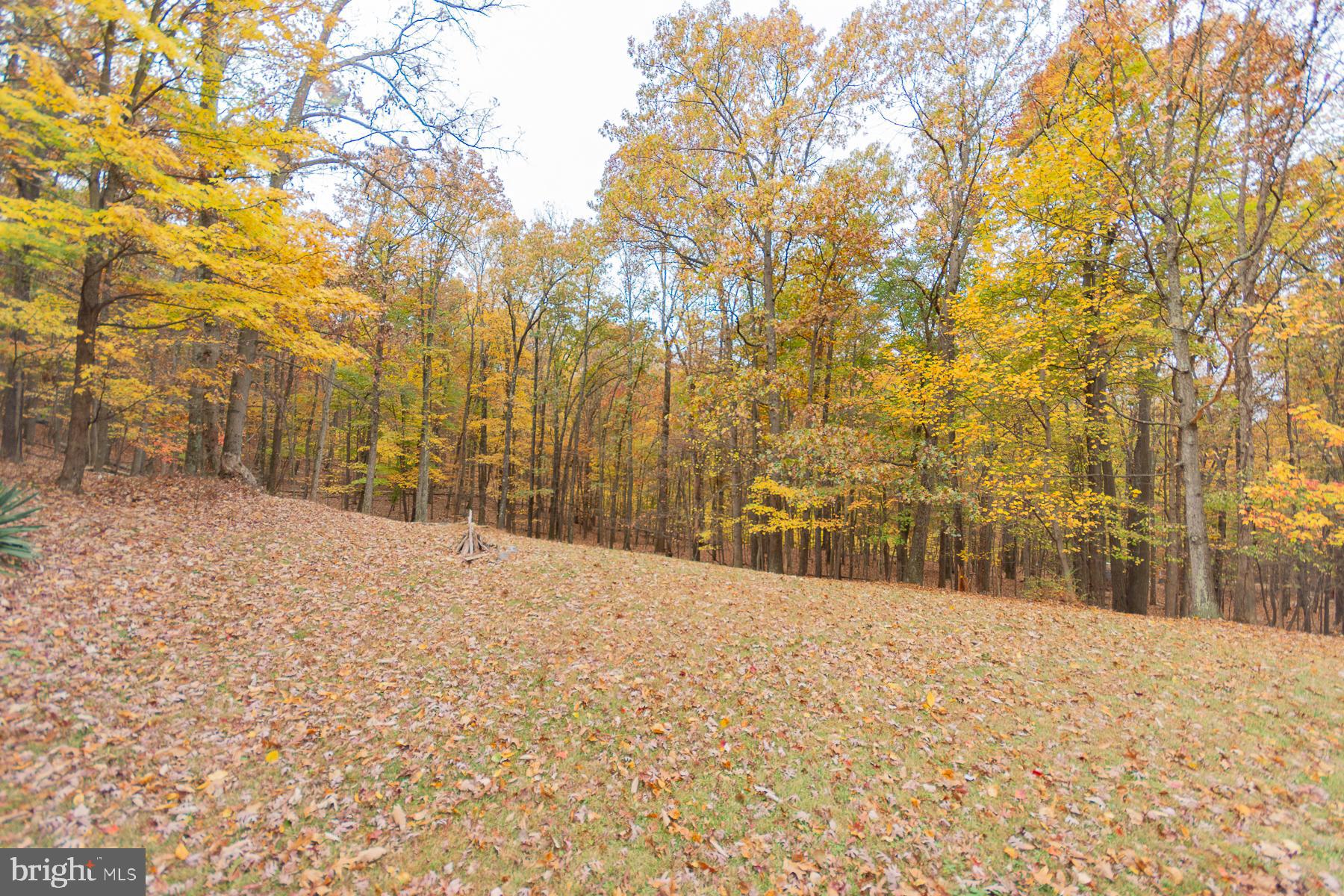 SHANNONDALE - Residential