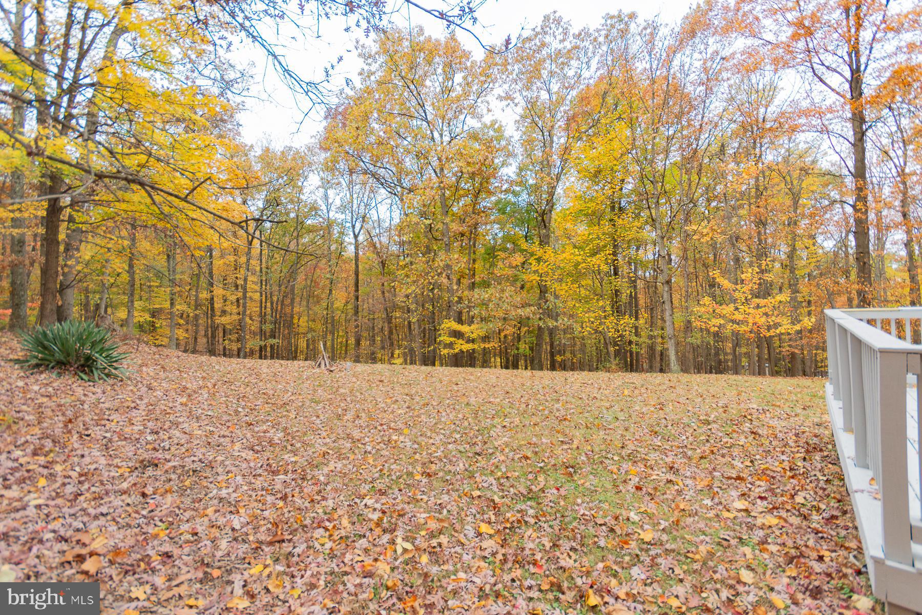 SHANNONDALE - Residential