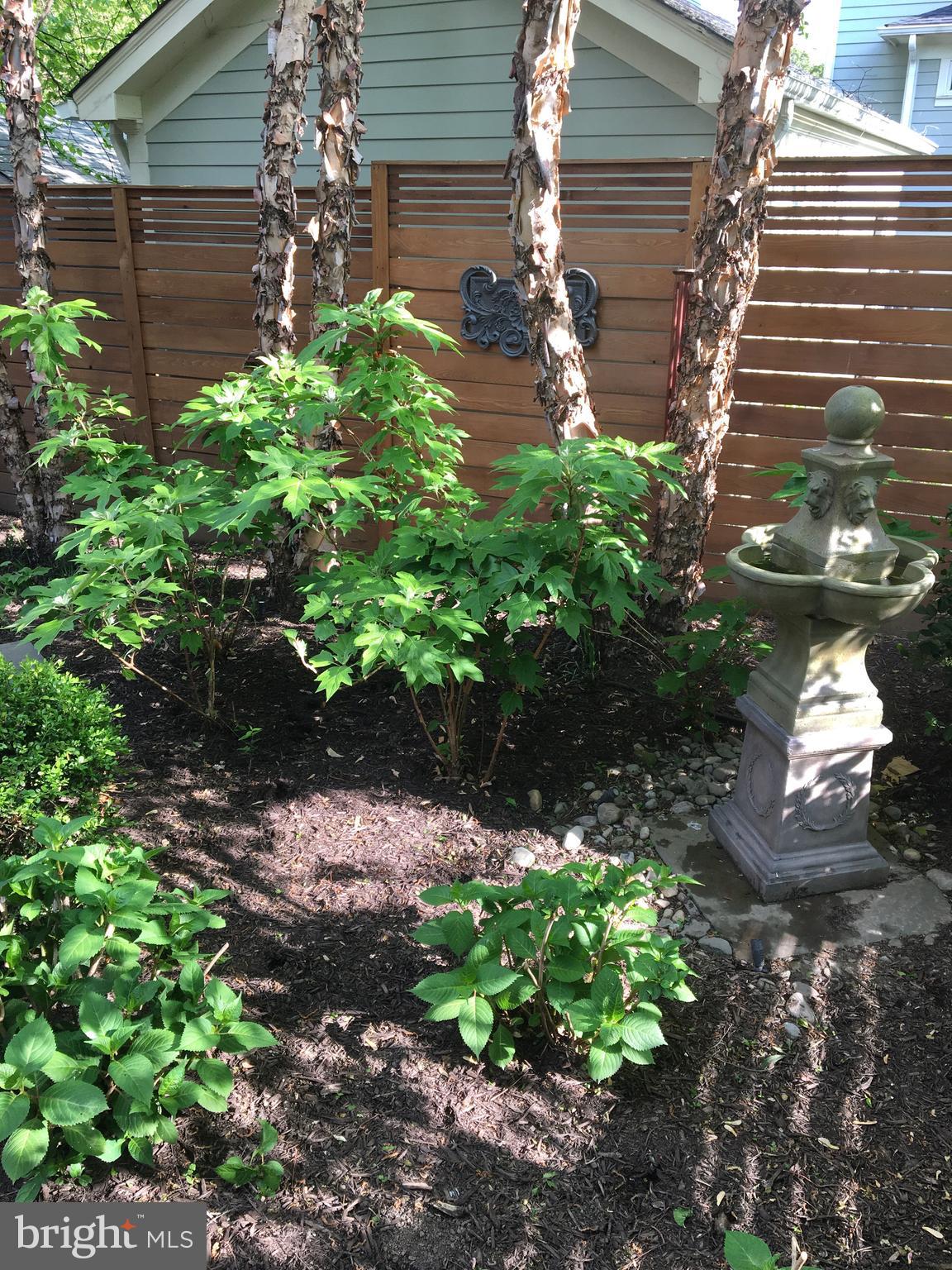 ROSEMONT PARK - Residential