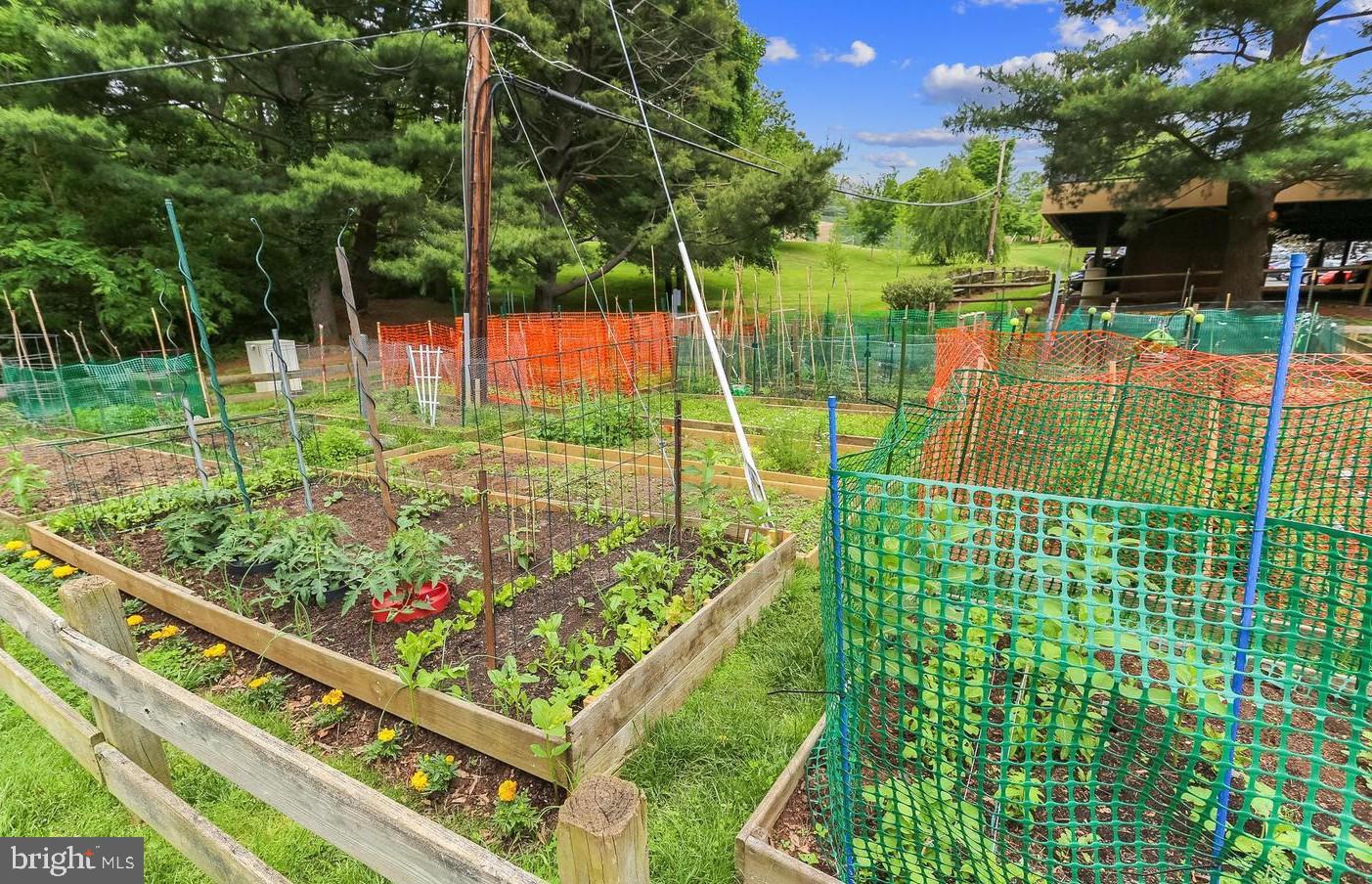 SPRING LAKE - Residential