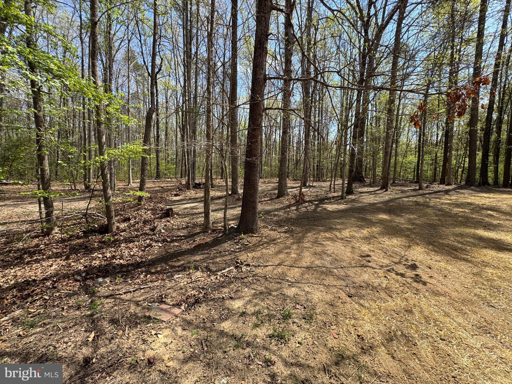 GREEN BRANCH - Residential