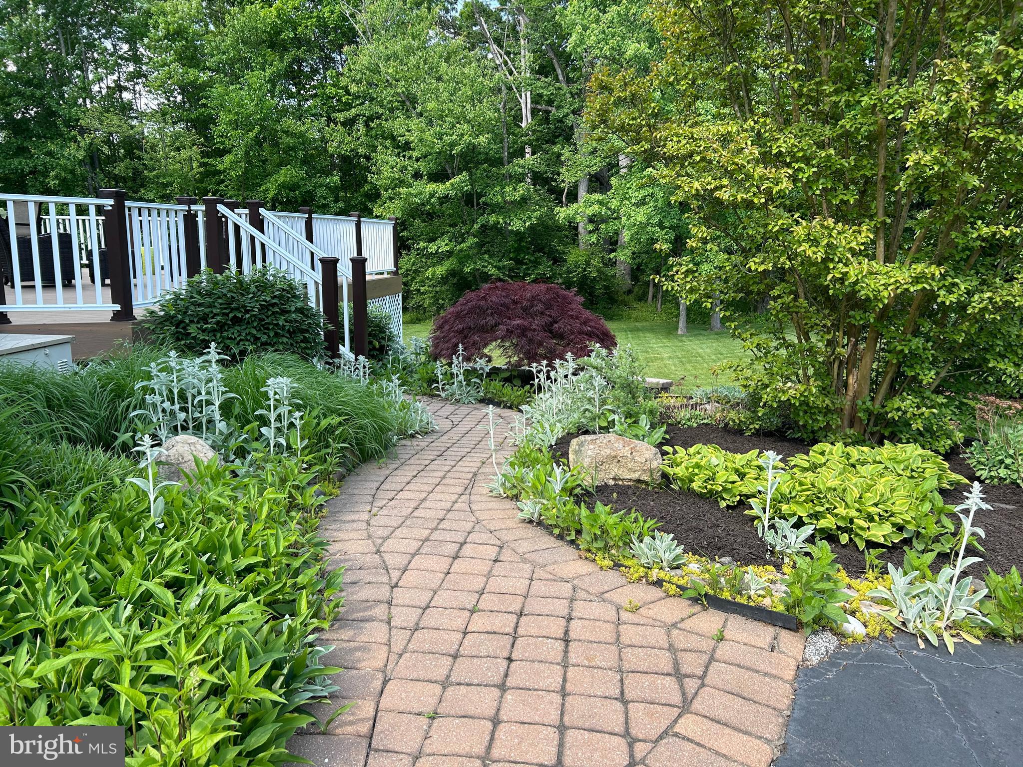 CHESTNUT CREEK - Residential