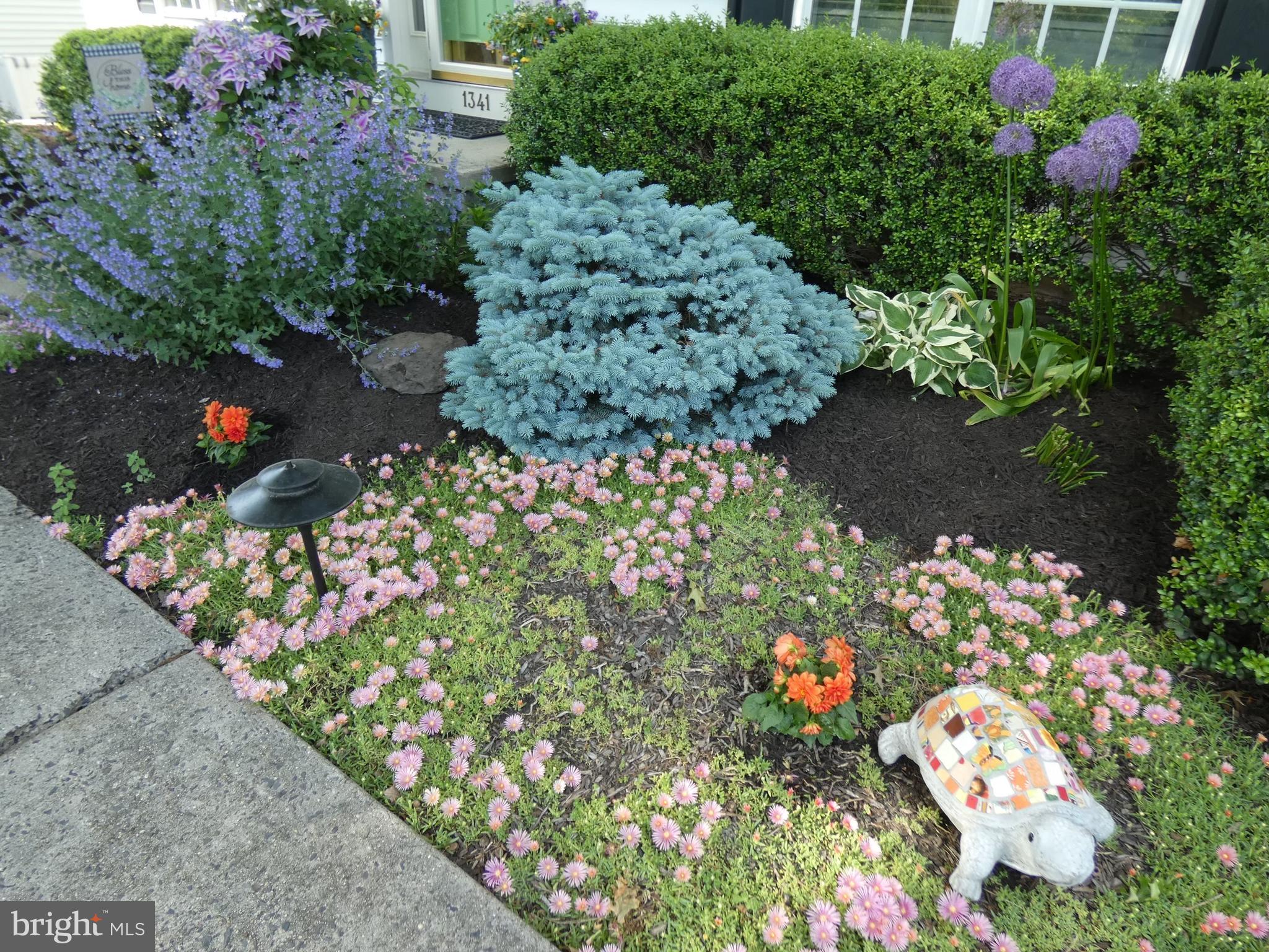 CHESTNUT CREEK - Residential