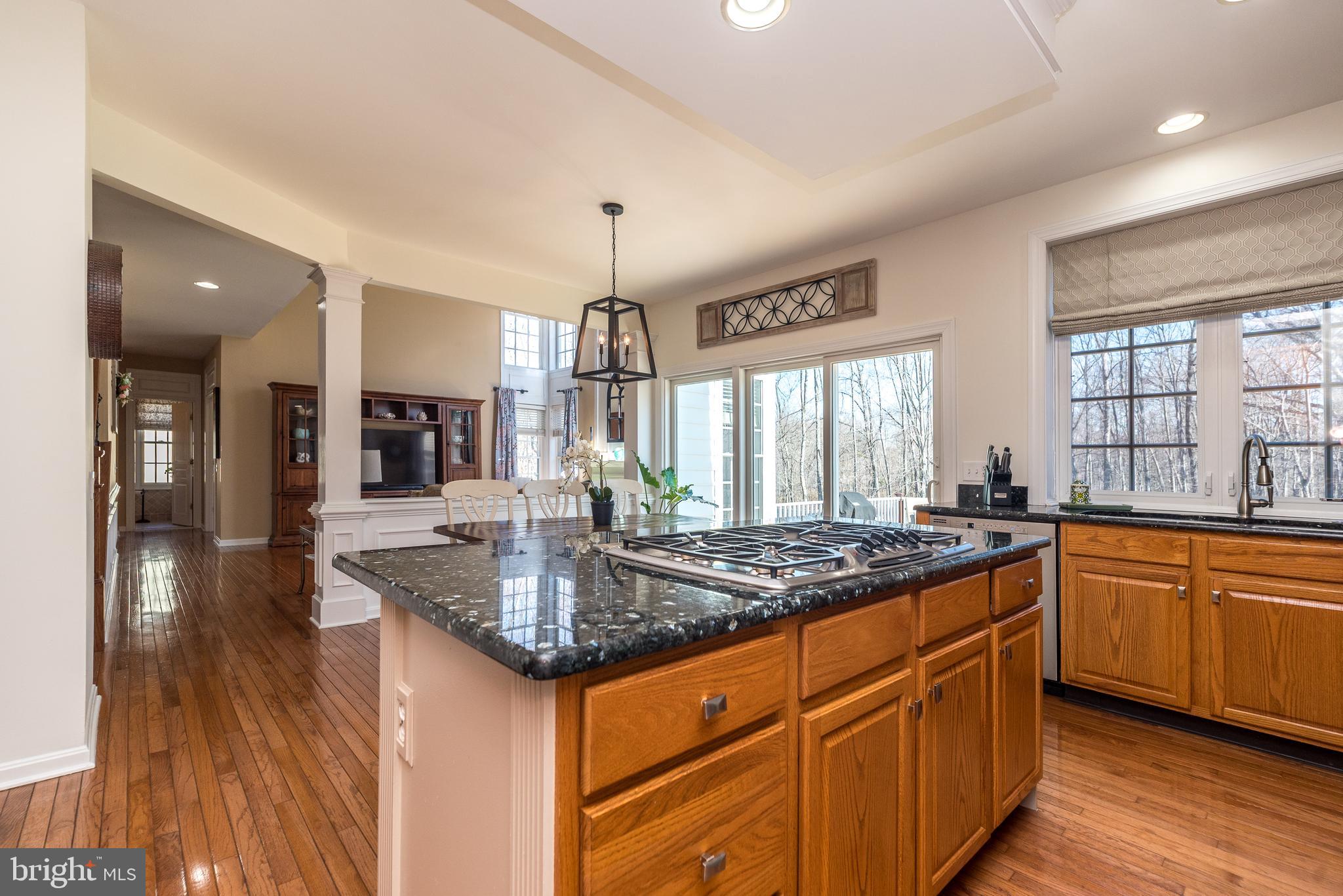 CHESTNUT CREEK - Residential