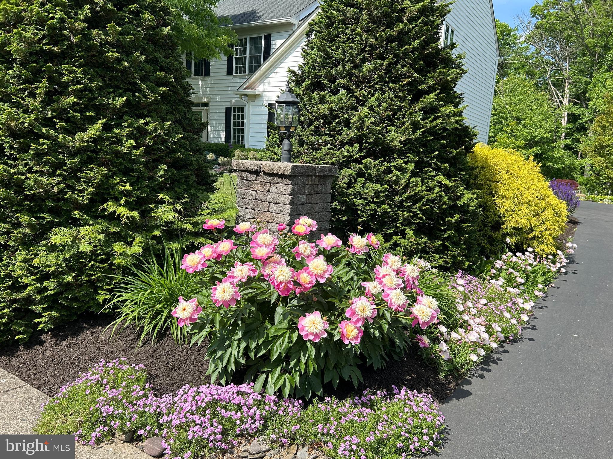 CHESTNUT CREEK - Residential