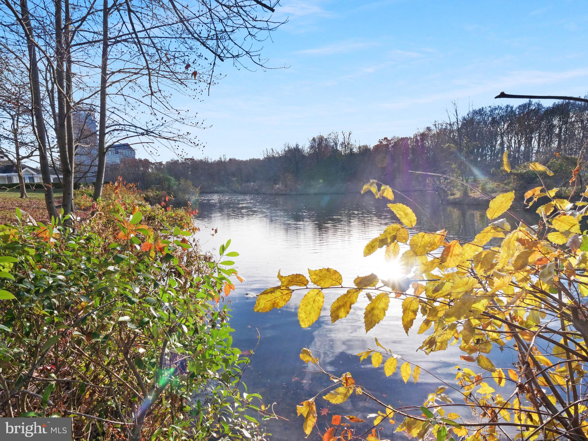 CARR AT NEW PROVIDENCE - Residential Lease