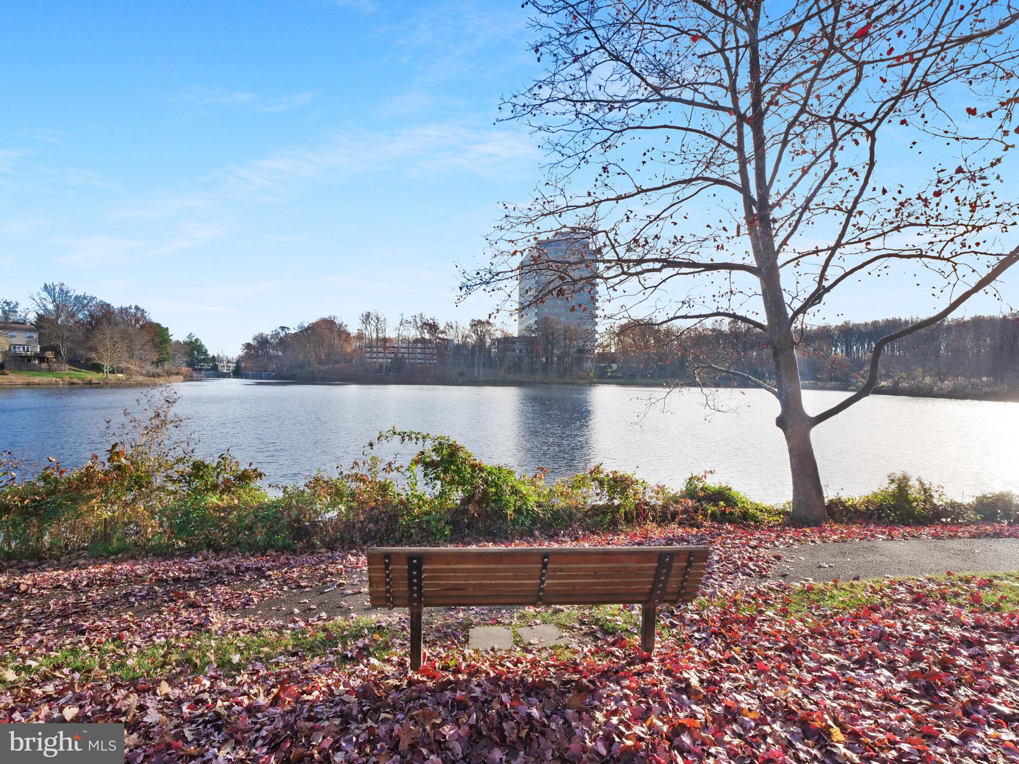 CARR AT NEW PROVIDENCE - Residential Lease