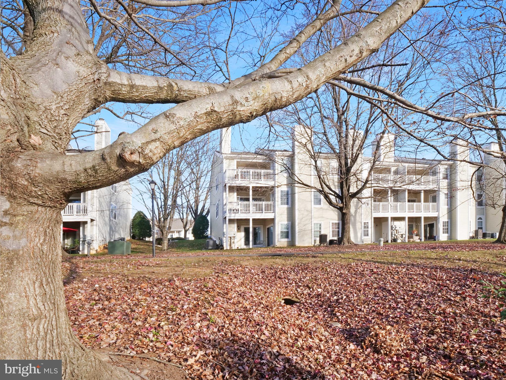 CARR AT NEW PROVIDENCE - Residential Lease