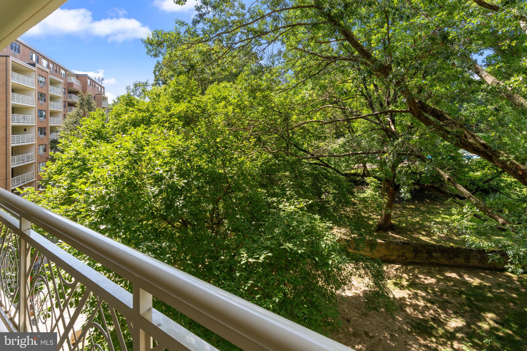 ELKINS PARK HOUSE - Residential