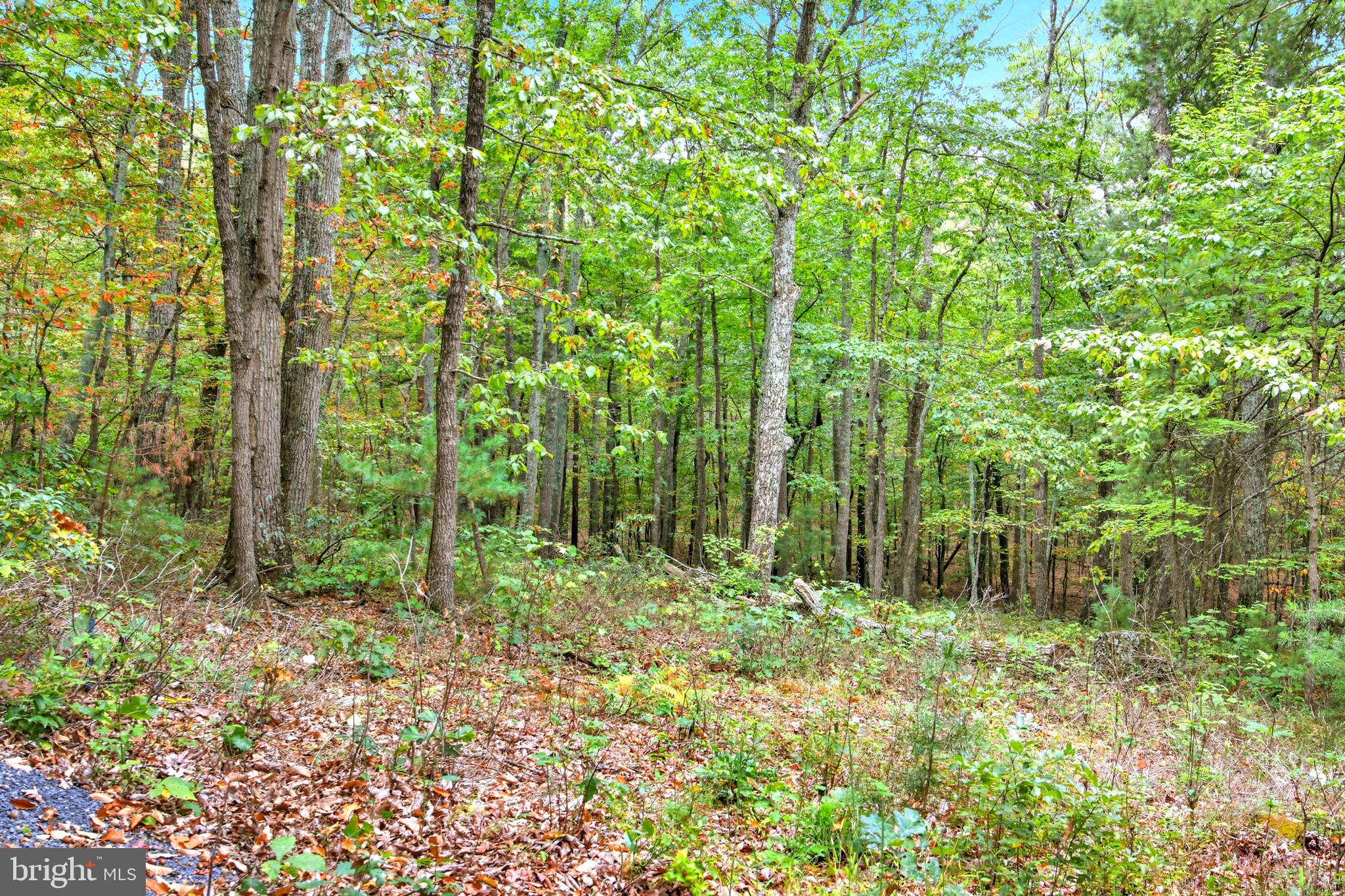 SUNDANCE RETREAT - Residential