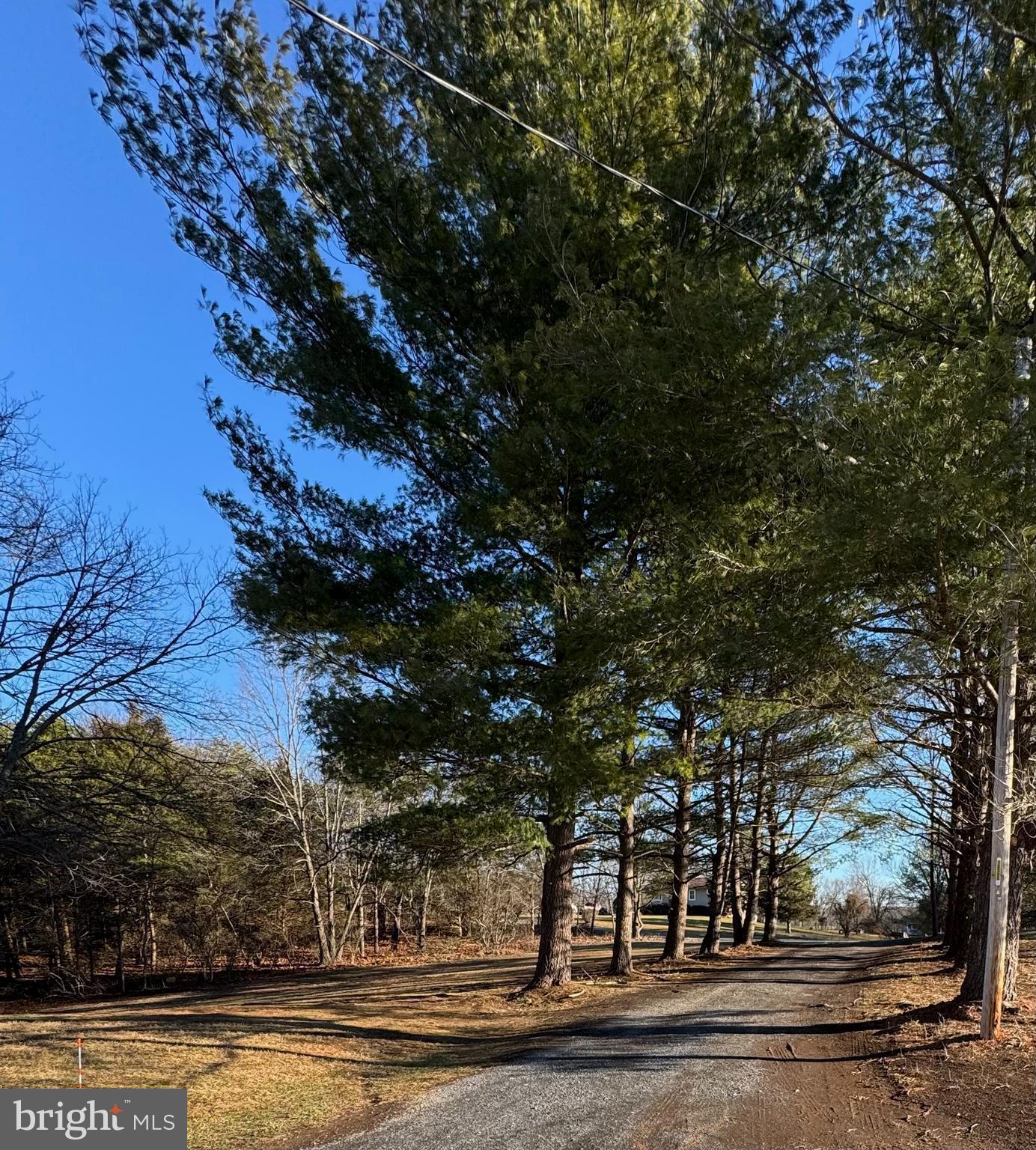 226 PEACH GROVE LANE