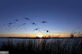 BELMONT SHORES - Residential Lease