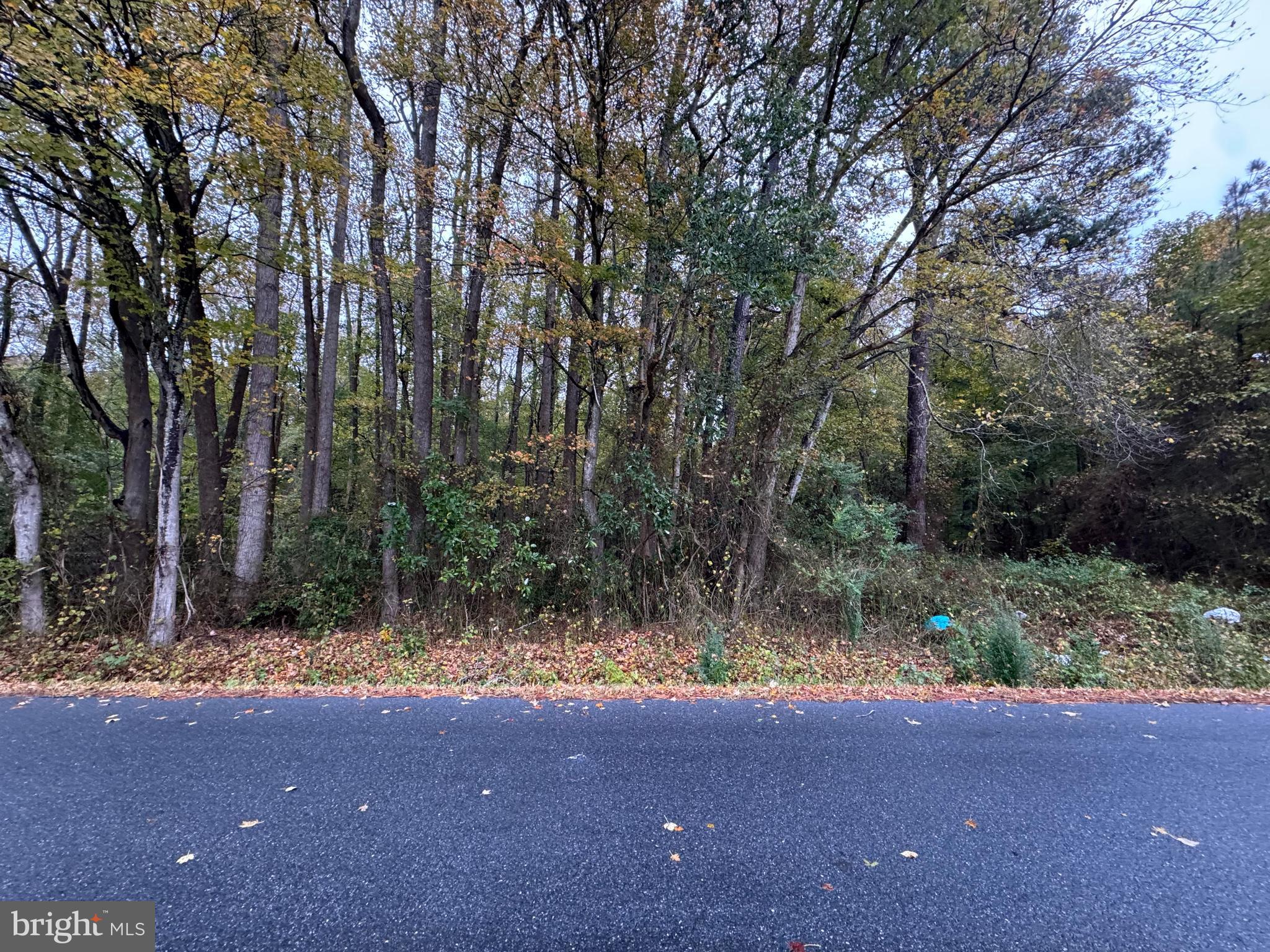 LOT 26 SHOCKLEY TOWN ROAD