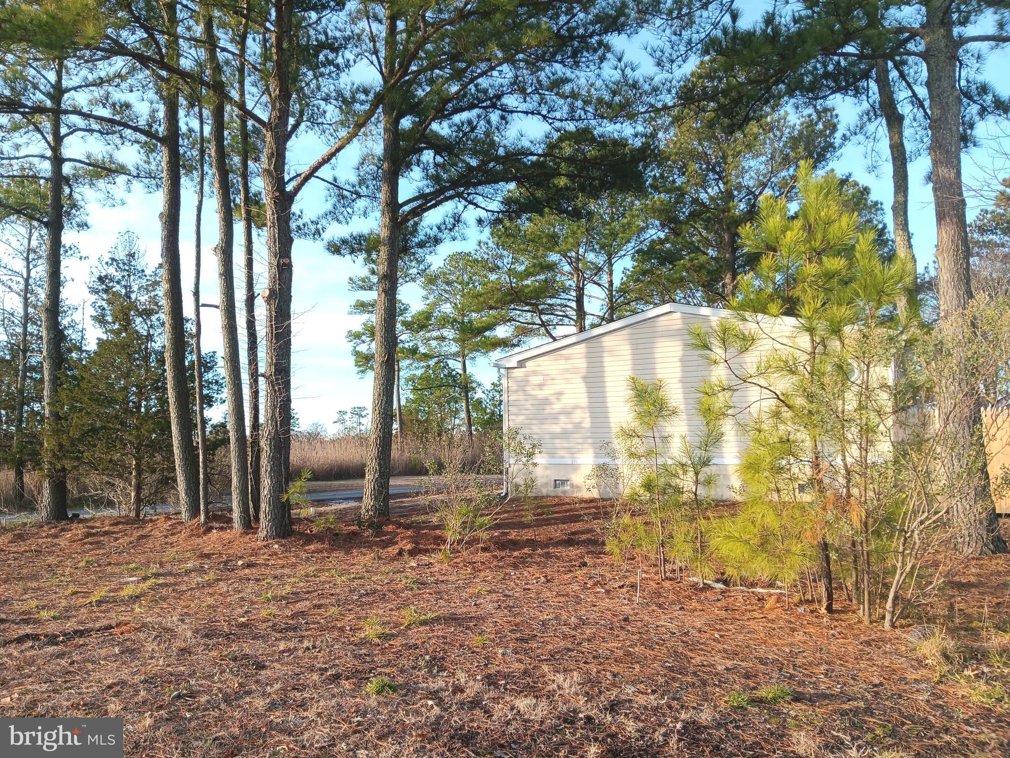 35397 APPLE STREET 49970