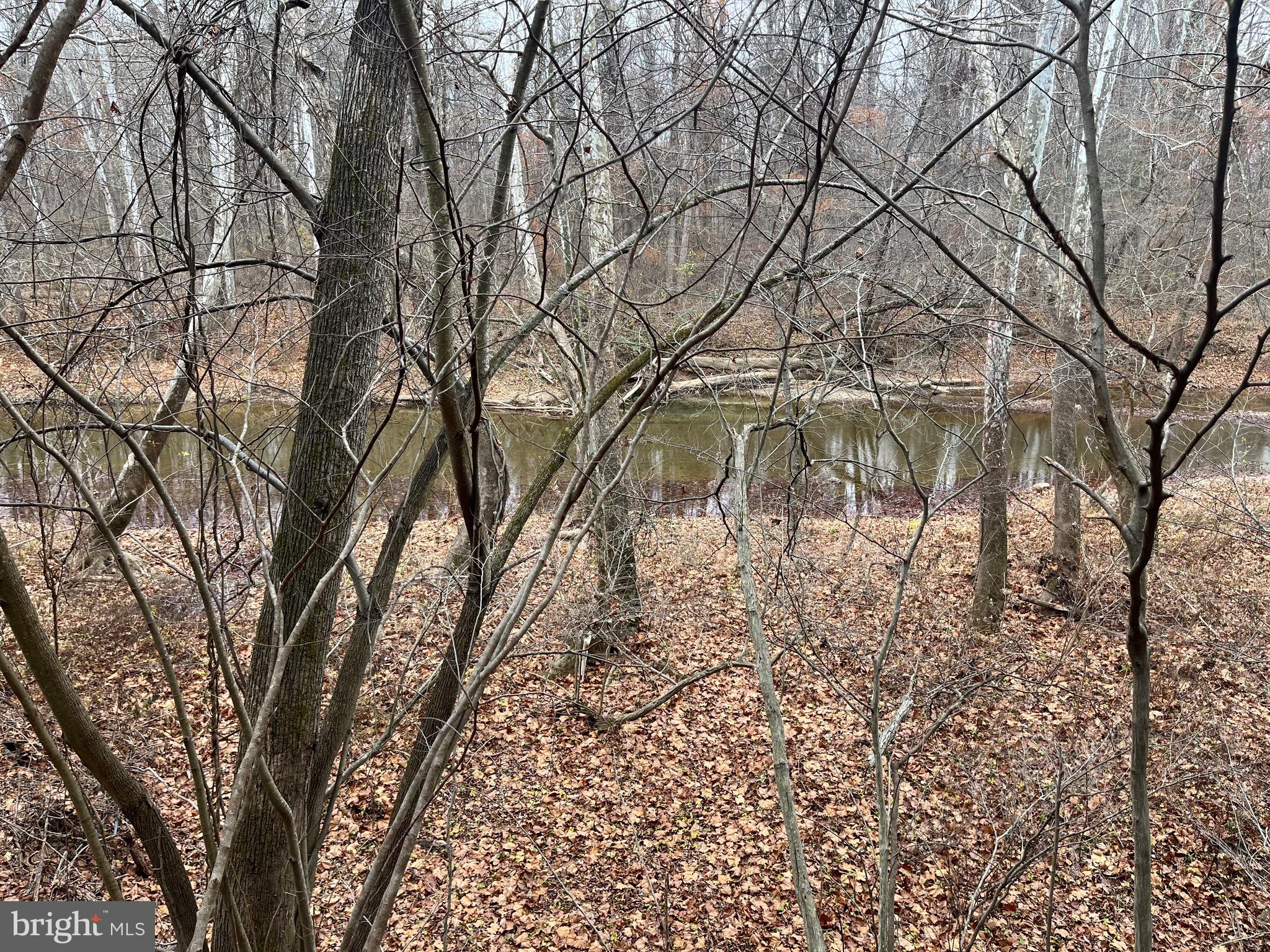 29 BLUFF TRAIL