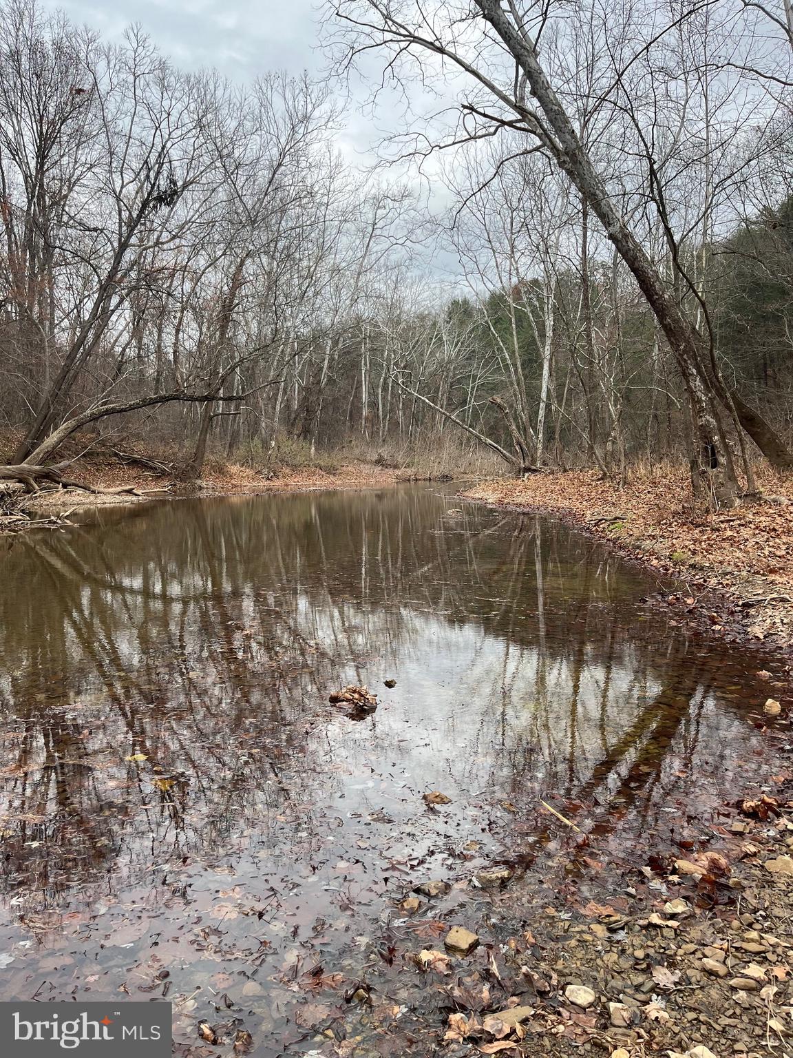 29 BLUFF TRAIL