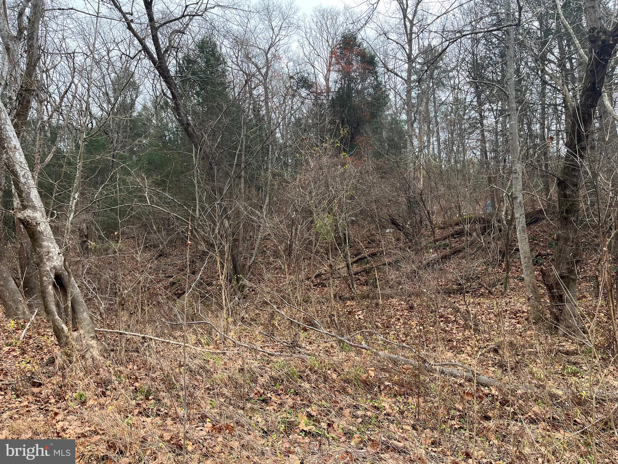 29 BLUFF TRAIL