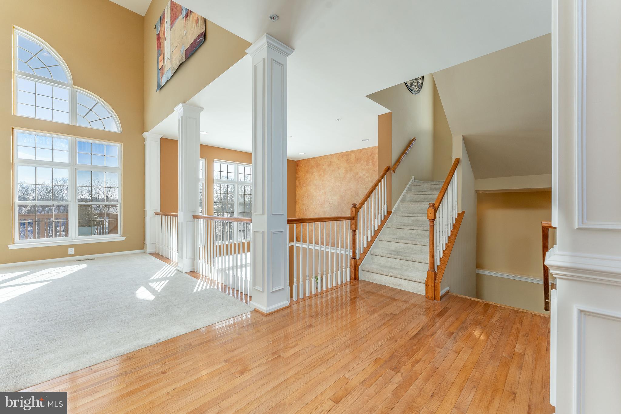 RAVENS CLAW - Residential