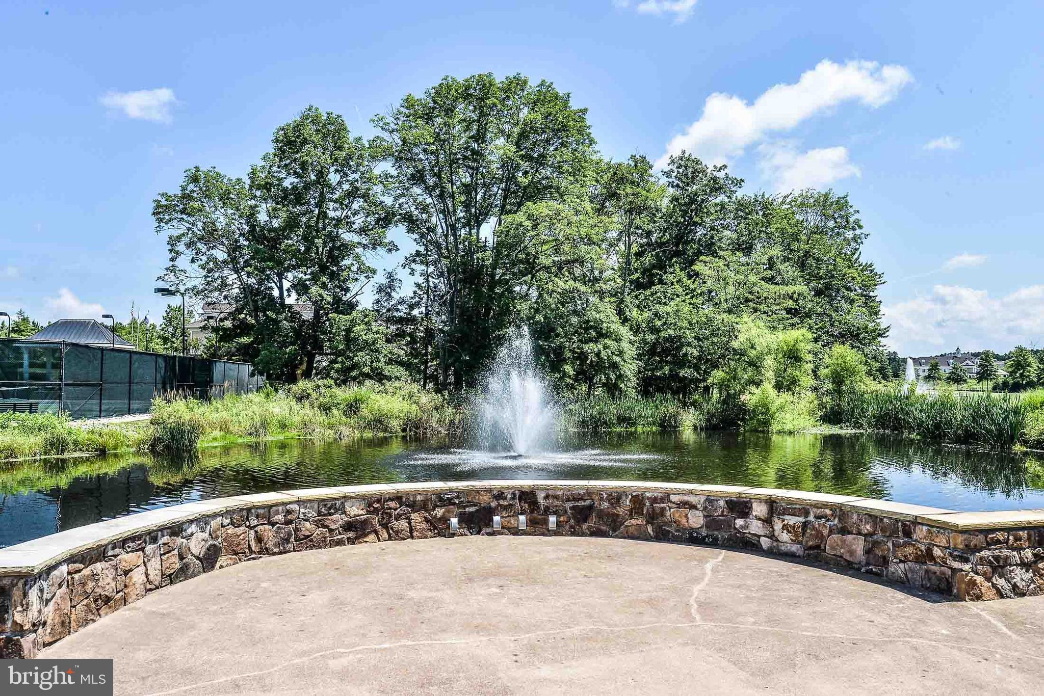 REGENCY AT DOMINION VALLEY - Residential