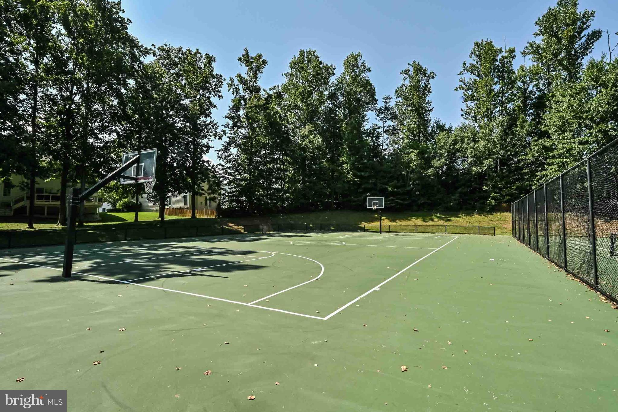 REGENCY AT DOMINION VALLEY - Residential