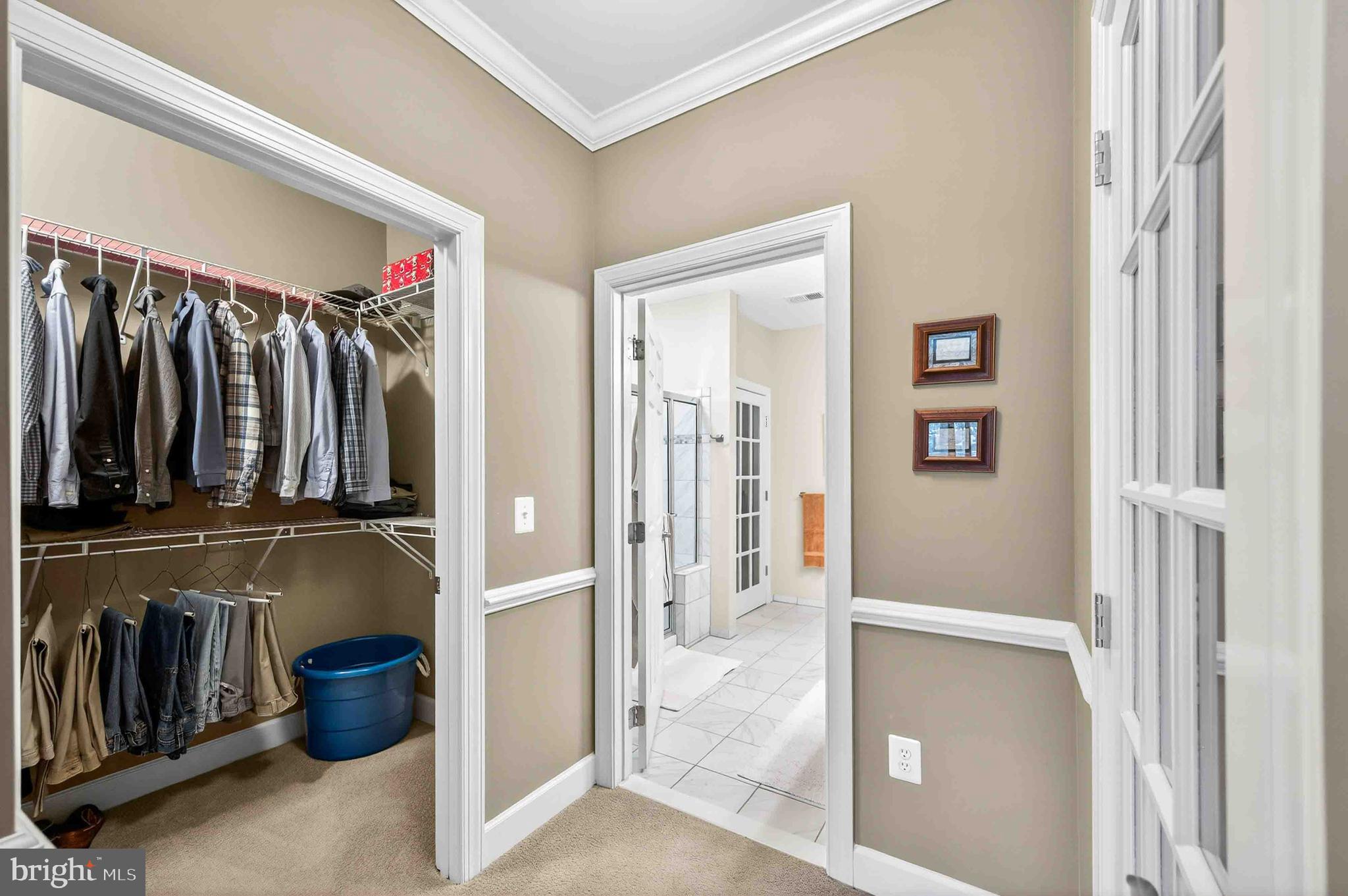 REGENCY AT DOMINION VALLEY - Residential