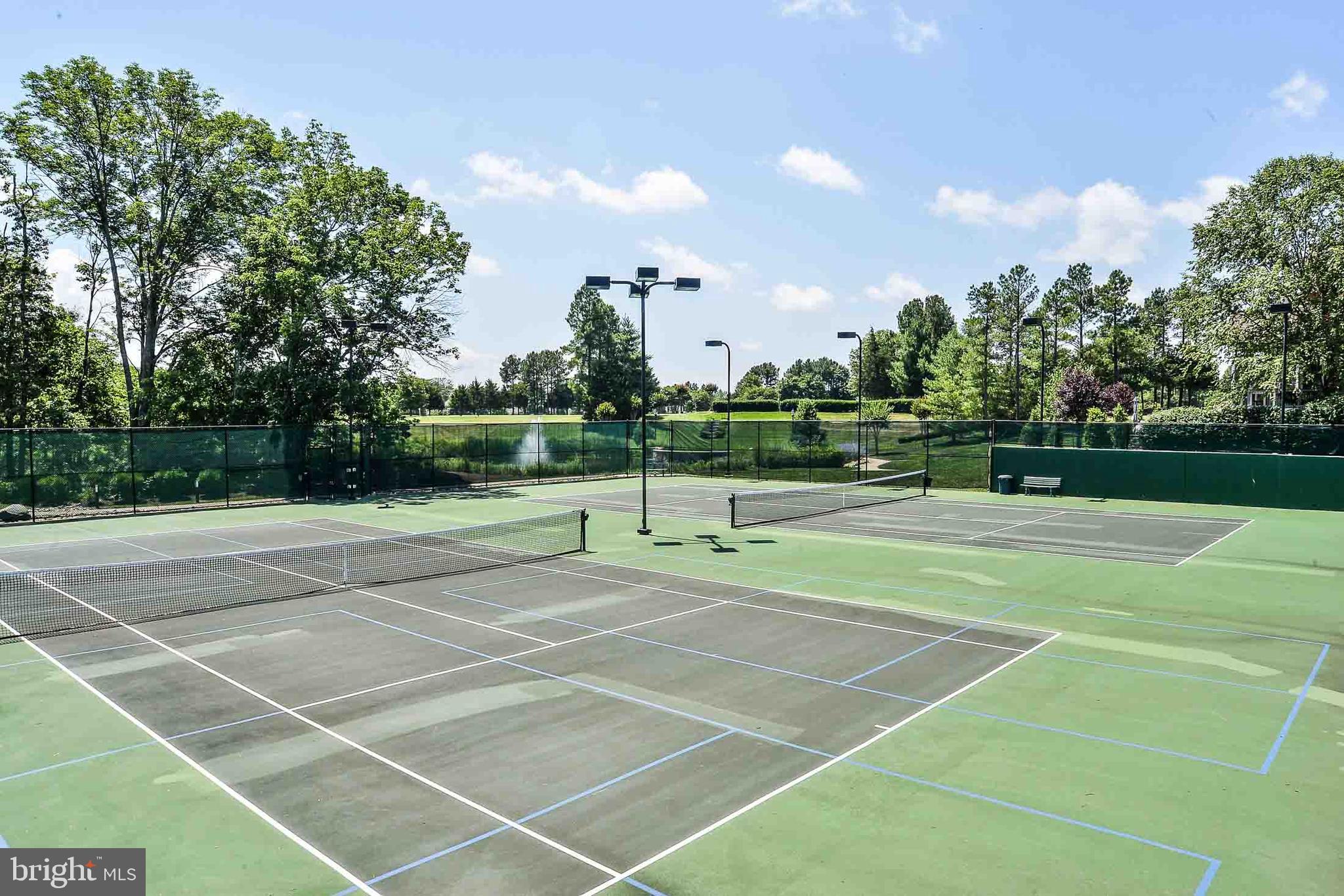 REGENCY AT DOMINION VALLEY - Residential