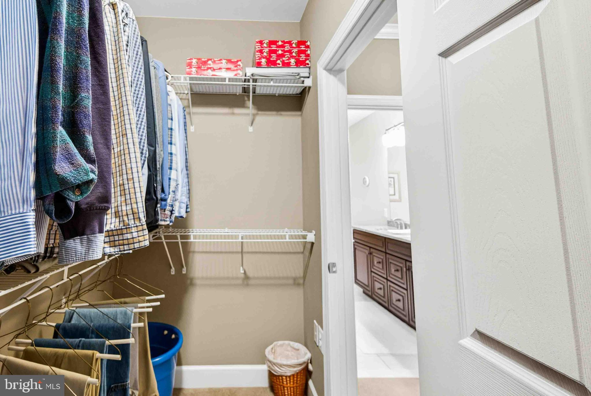 REGENCY AT DOMINION VALLEY - Residential