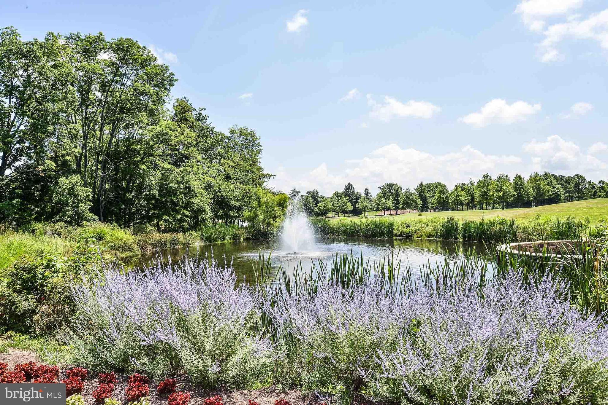 REGENCY AT DOMINION VALLEY - Residential