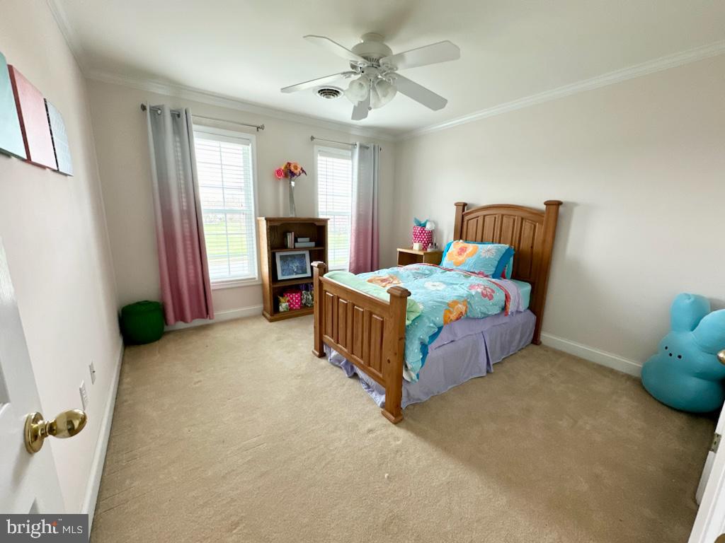 VILLAGES OF ELK NECK - Residential