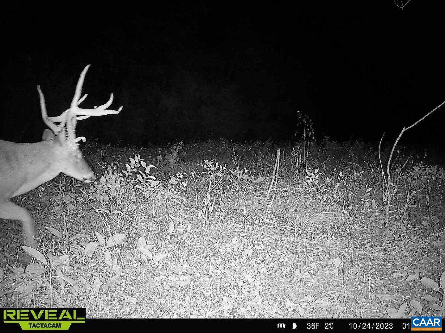 NONE AVAILABLE - Land