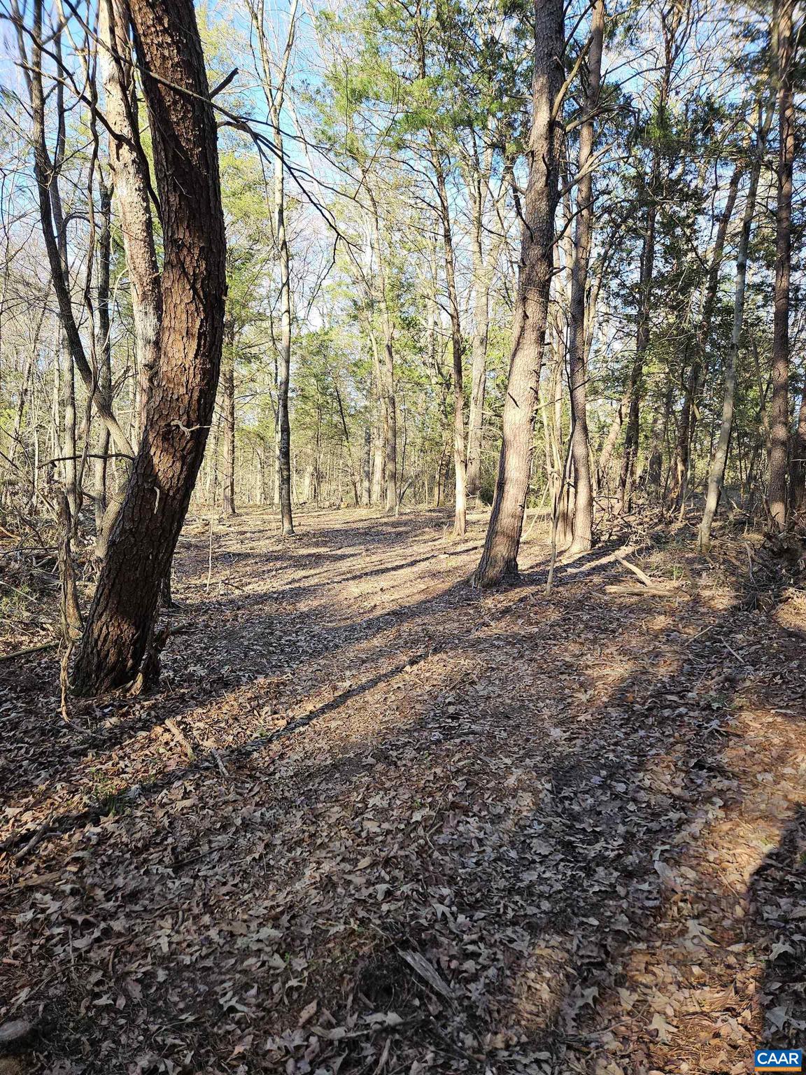 NONE AVAILABLE - Land