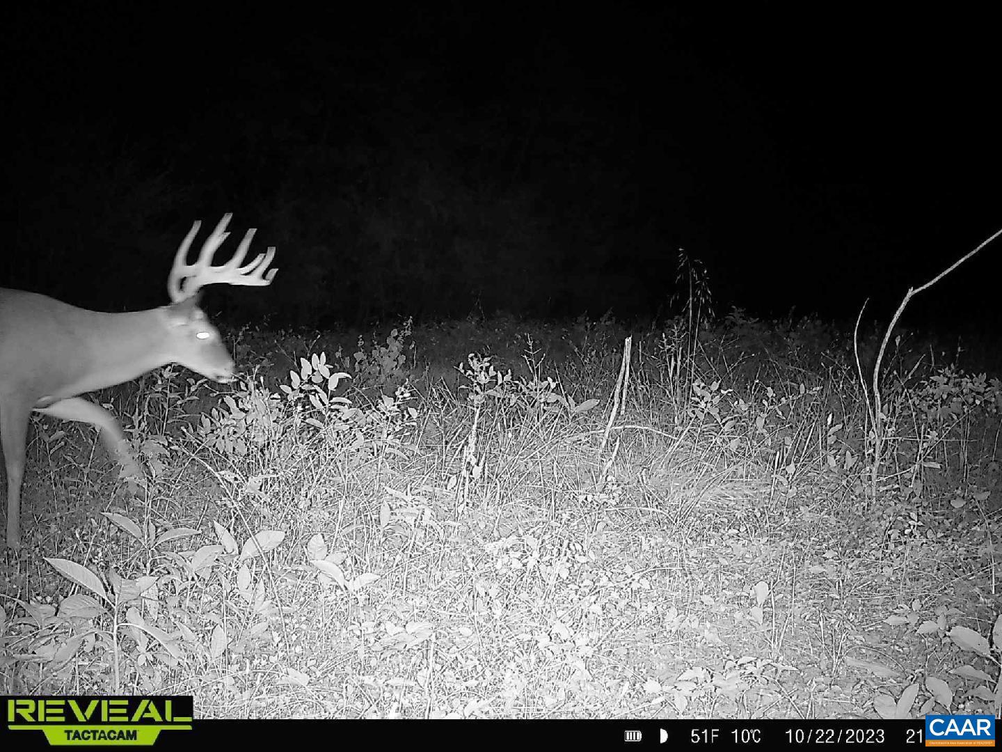 NONE AVAILABLE - Land