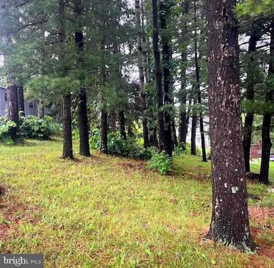 Residential lot approved for single wide manufactured or tiny home. Public water and sewer available. Mature trees, relatively flat and in a convenient location.