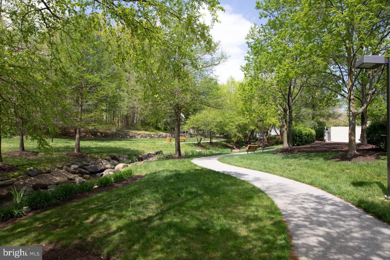 PINEY ORCHARD - Residential Lease