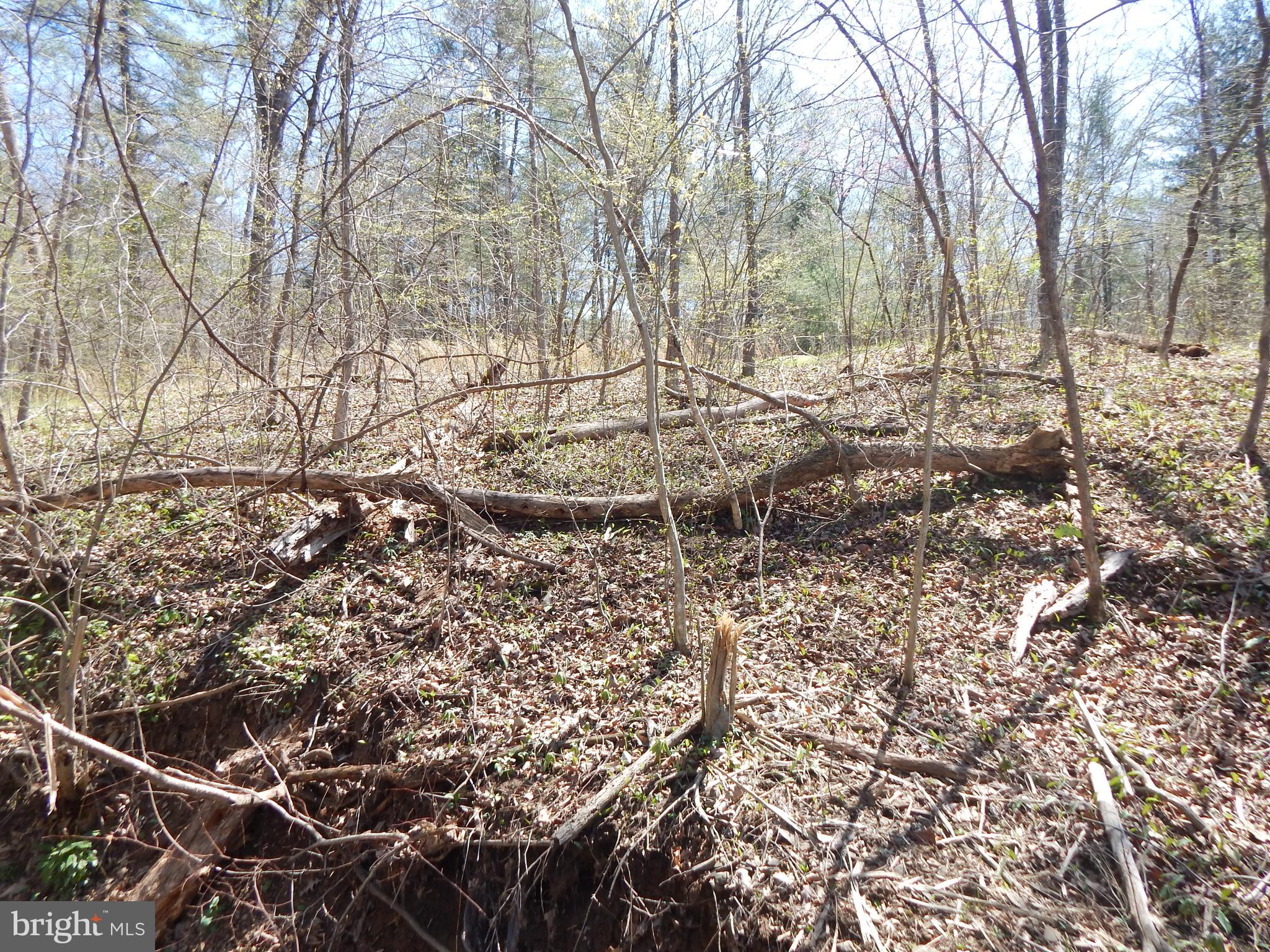 A lot near Back Creek. A stream goes through the width of the property. Build your Creek side dream home or a home on stilts, (Stilts home construction.) Possible lot for recreation.
Bring your horse. Unrestricted!