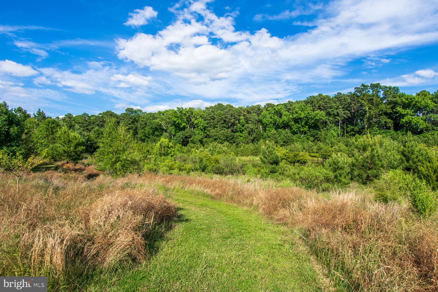 GIBSONS GRANT - Residential