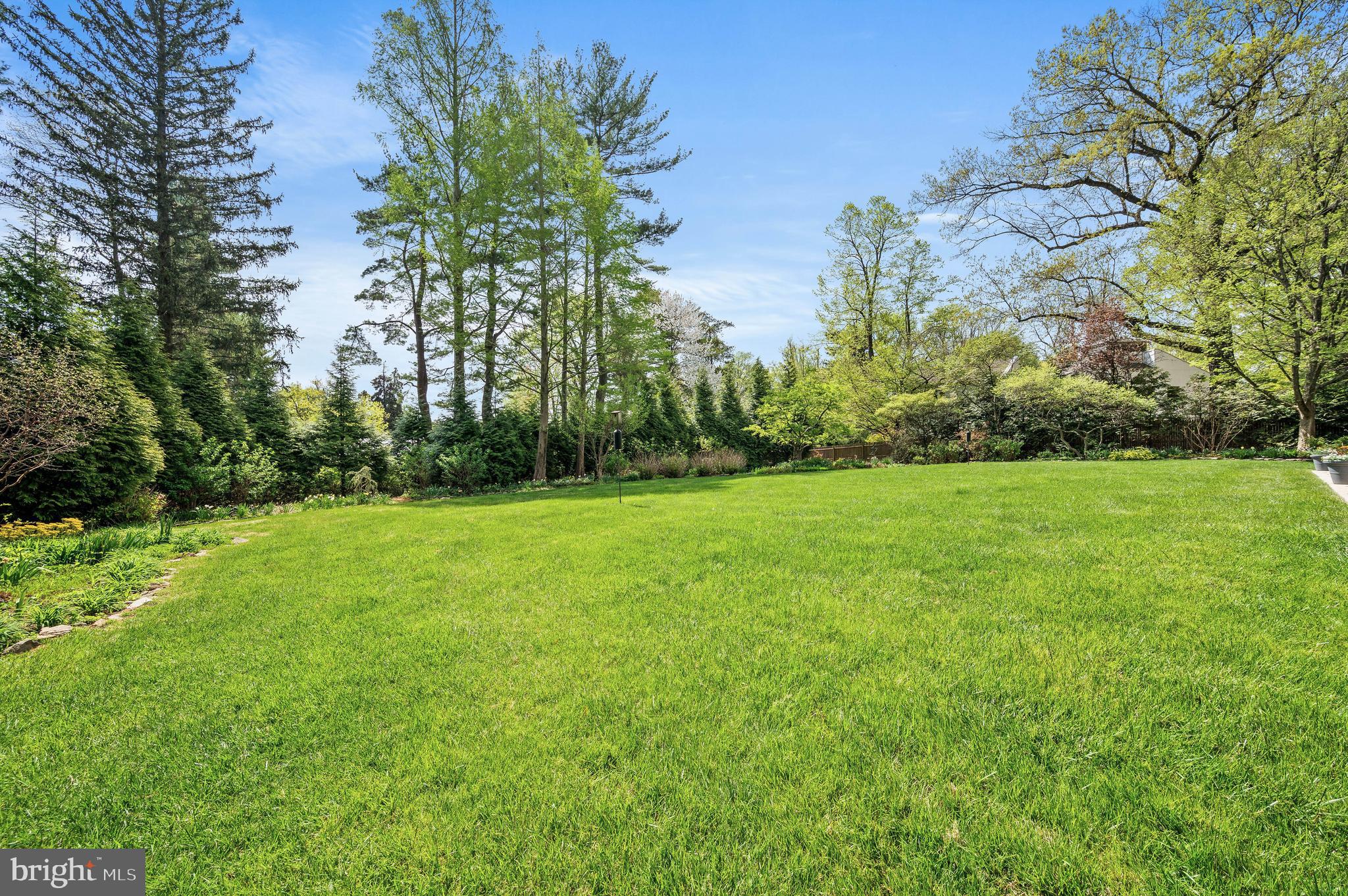 CHESTNUT HILL - Residential