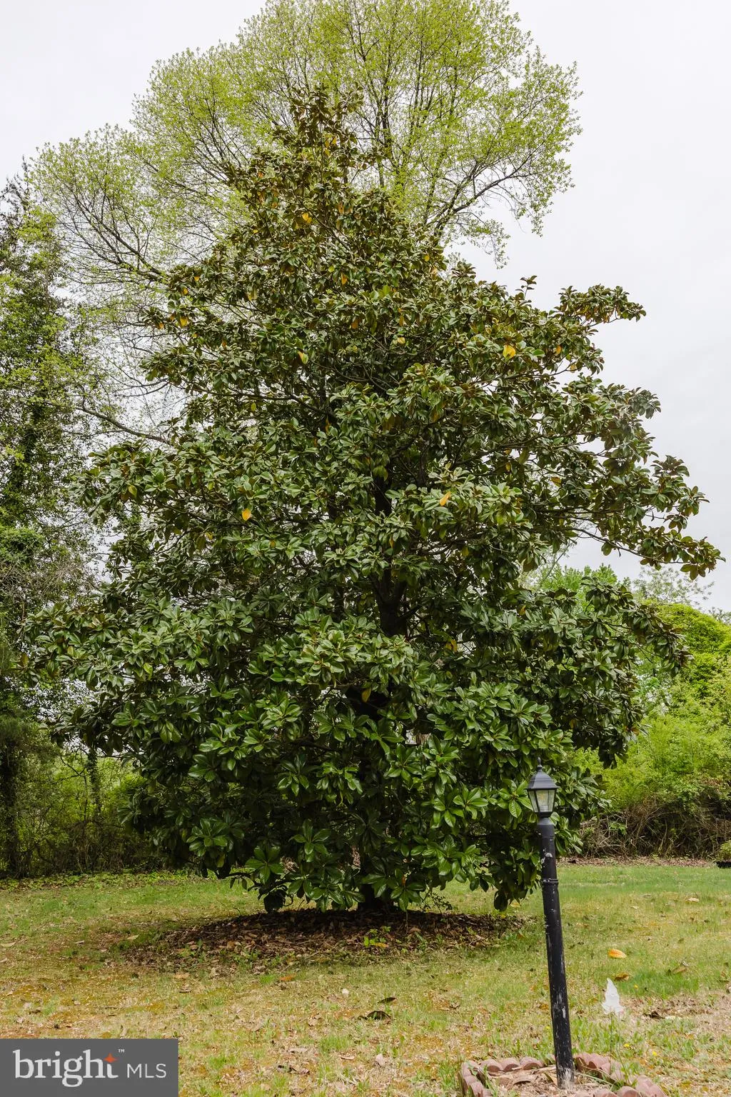 Stafford, Virginia 22554, United States, ,Commercial,Active,118426